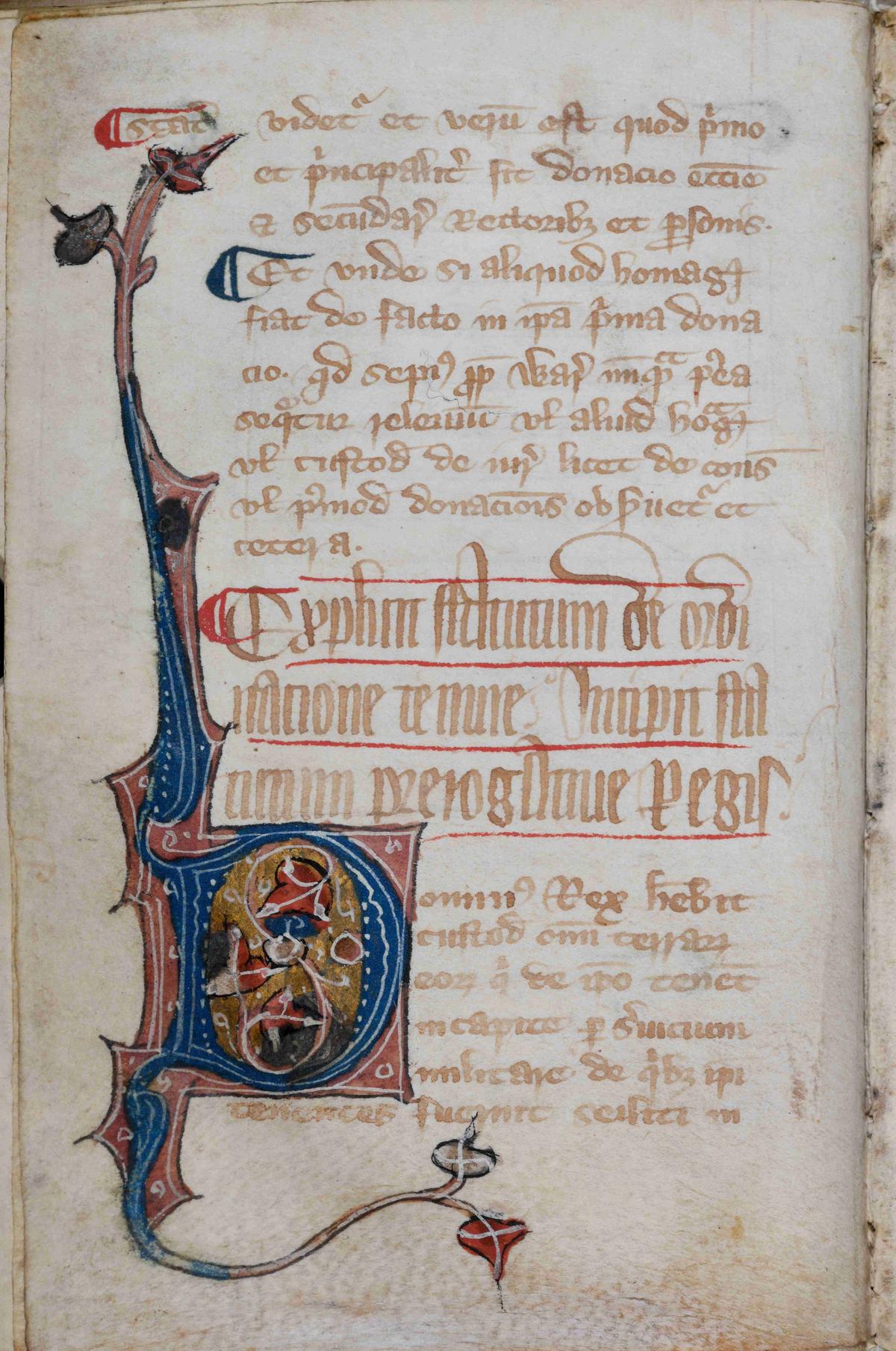 Das Bild zeigt eine Initiale aus dem Collectio legum Anglorum. Es hadnelt sich um ein D mit abgehenden Zweigen.