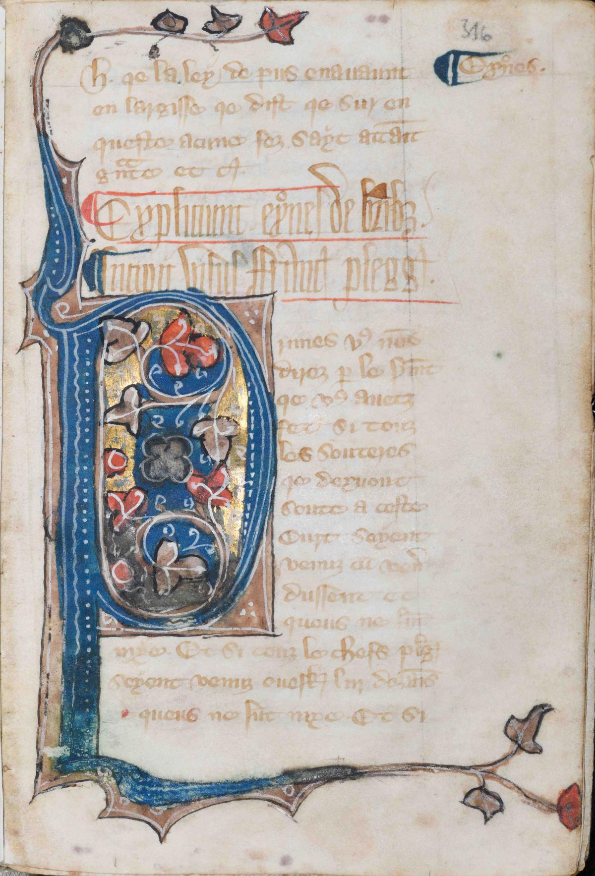 Das Bild zeigt eine Initiale aus dem Collectio legum Anglorum. Es handelt sich um ein verziertes D mit abgehenden Zweigen.